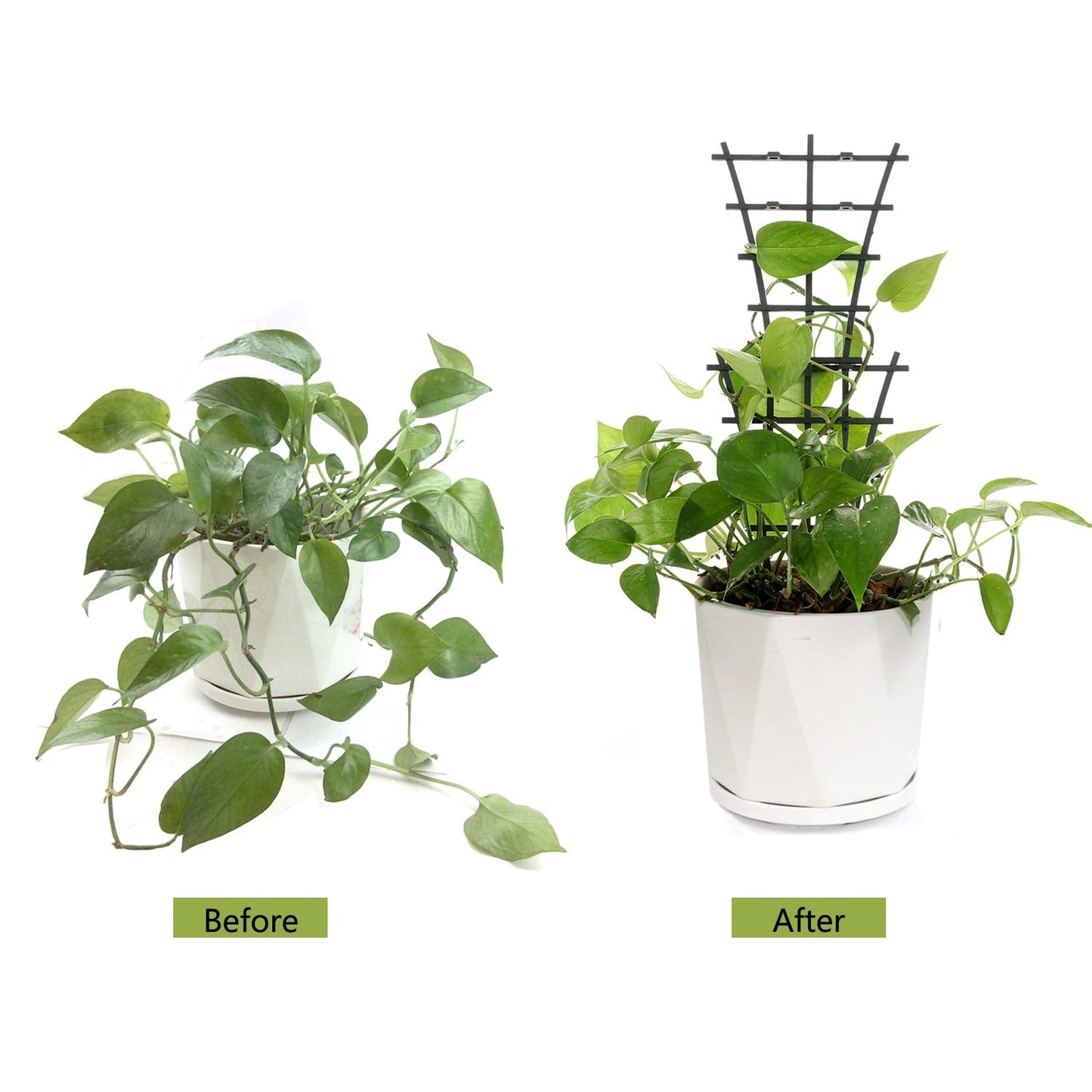 12 Pcs Garden DIY Mini Climbing Trellis Plastic Superimposed Potted Plant Support Garden Trellises for Potted Climbing Plants Vines