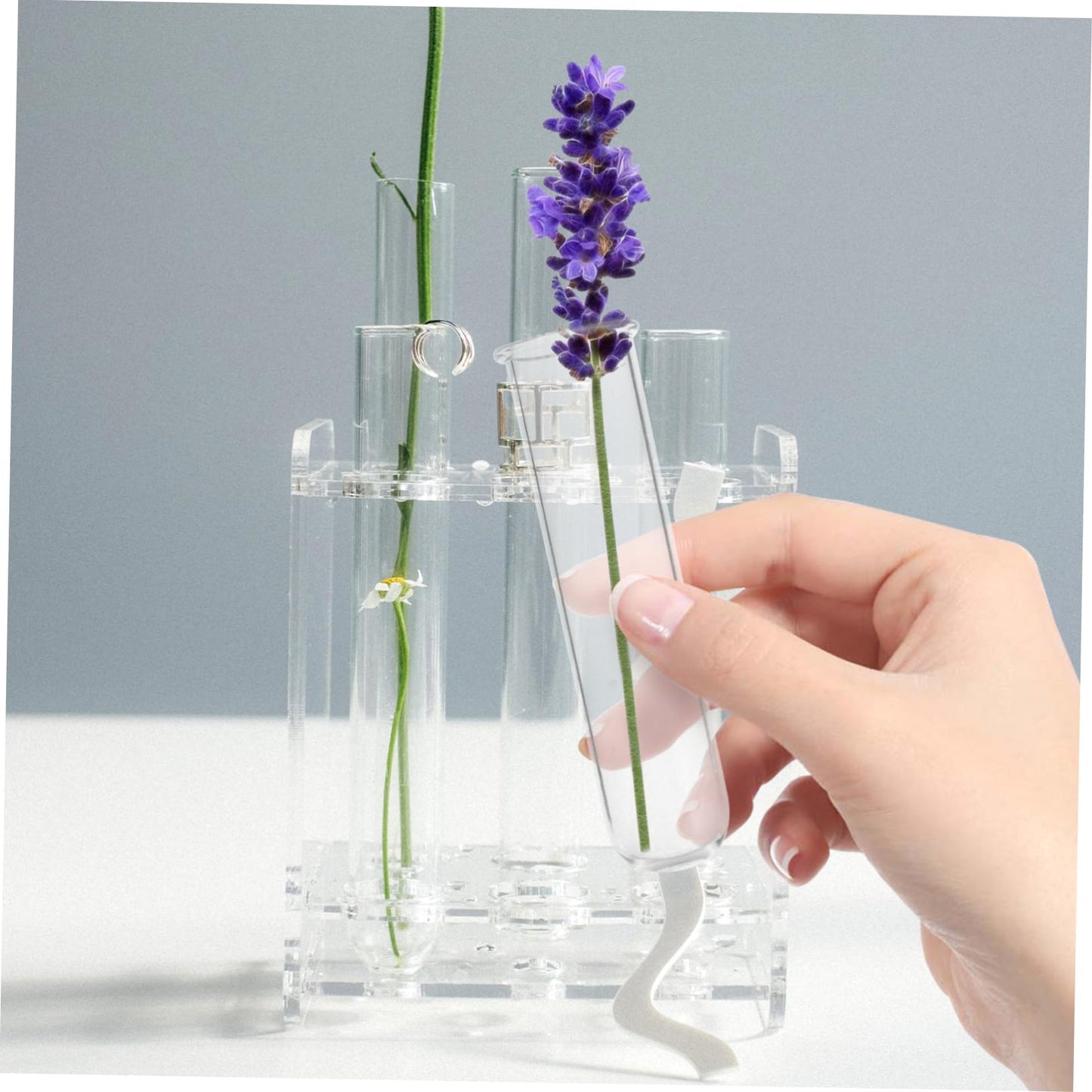 Abaodam 5pcs Clear Glass Test Tube Propagation Vases Multi-use Hydroponic Plant Holders for Home and Office Decor Elegant Terrarium Flower Display Sturdy Design
