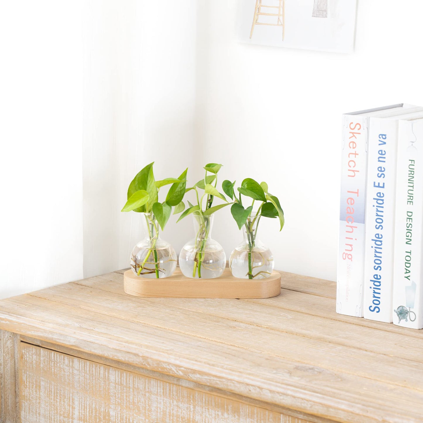 Mkono Desktop Plant Propagation Glass Vase Station Retro Plant Terrarium with Wooden Tray Bulb Flower Vase Container Perfect for Propagating Hydroponic Plants Home Office Decor Plant Lover Gift Idea