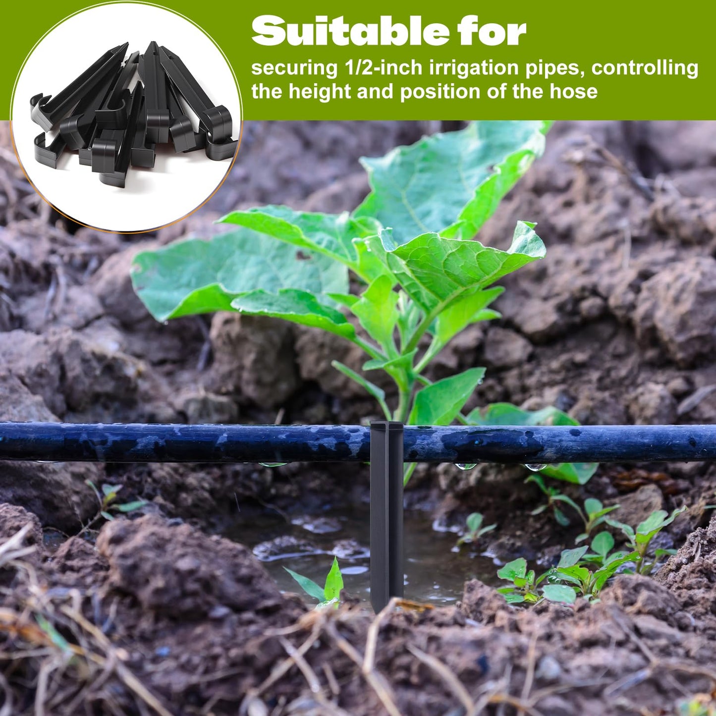 Honoson 80 Pcs Irrigation Stakes Tubing Hold Down Anchor Stakes 1/2" PE Plastic Garden Hose Stake 6 Inch Plastic Drip Tubing Anchor for Greenhouse, Lawn, Patio, Vegetable Plot