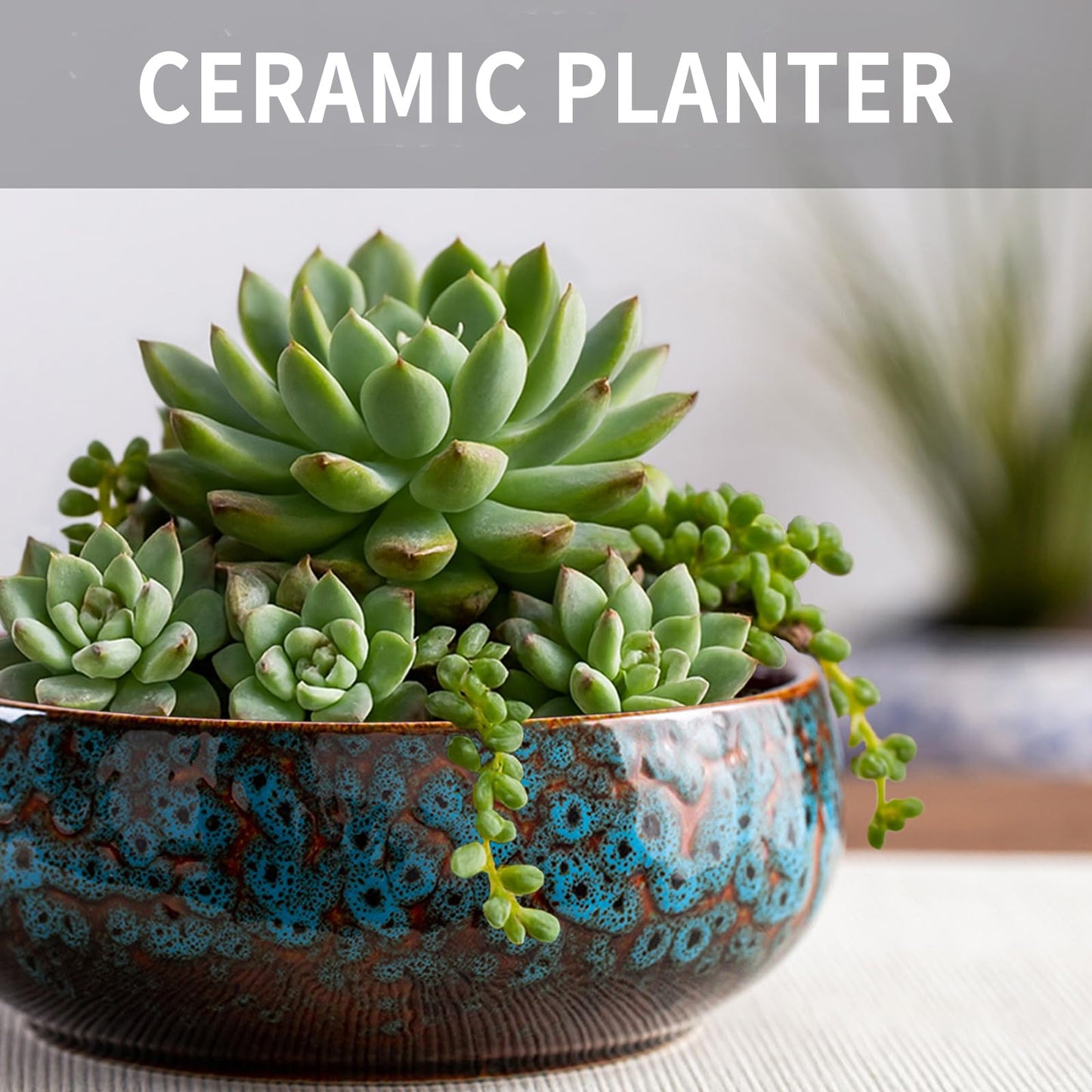 SnuggleTail Lotus Flower Bowl Planter 6.6" Round Pot– Ceramic Shallow Succulent & Water Lotus Pot – Wide Low Ceramic Bowl for Bonsai Indoor Decor