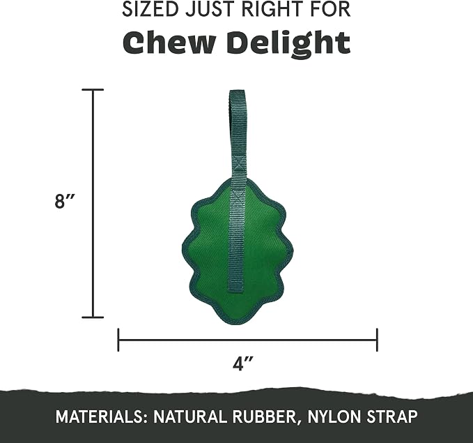 Barkbox Green Chew Leaf Dog Toy for Small Dogs – 2-in-1 Design with Mixed Textures and Surprises, Perfect for Tough Chewing and Playful Pups