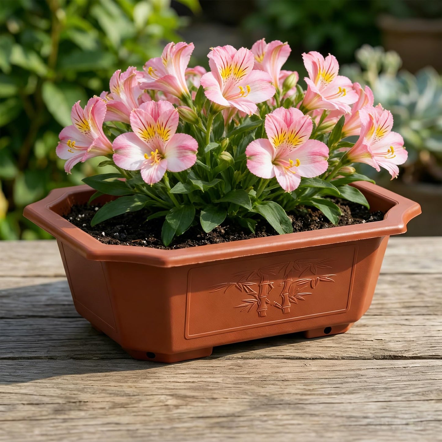 HOIGON 30 PCS 9 x 6.5 Inch Plastic Rectangular Bonsai Training Pots, Red Plastic Planter Pot with Drainage Hole, Shallow Plant Nursery Pot for Succulent