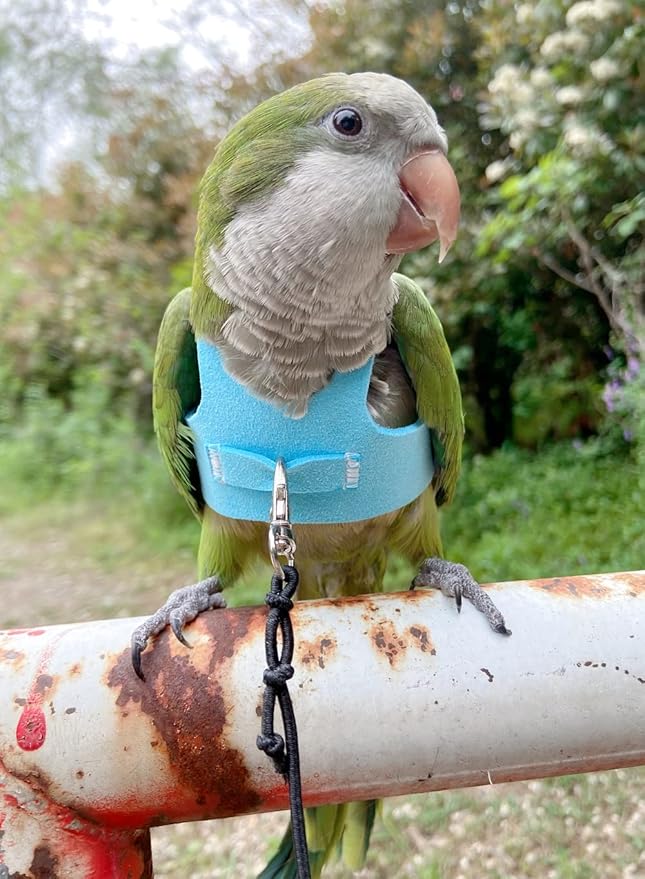Bird Flight Harness Vest Parrot Flight Suit with Leash for Parakeets Cockatiels Conures Budgies, Bird Flying Clothes with Rope and Handle for Outdoor Activities Training (L,Blue)