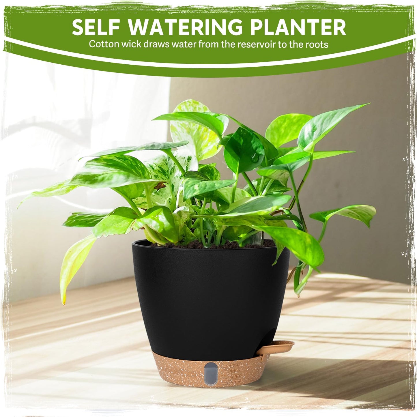 8 Inch Self Watering Pots for Indoor Plants, Plastic Planters with Deep Reservoir & Drainage Holes, Flower Pots for Monstera, Snake Plant & Peace Lily, Worry-Free Vacation Care (Black, 8 inch)