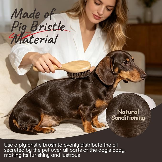 Soft Boar Bristle Short Hair Dog Brush, Natural Bamboo Handle, Pet Massage Deshedding Tool, Fit Puppy, Such as French Bulldog, Beagle, Dachshund, Boston Terrier, Pug, Chihuahua