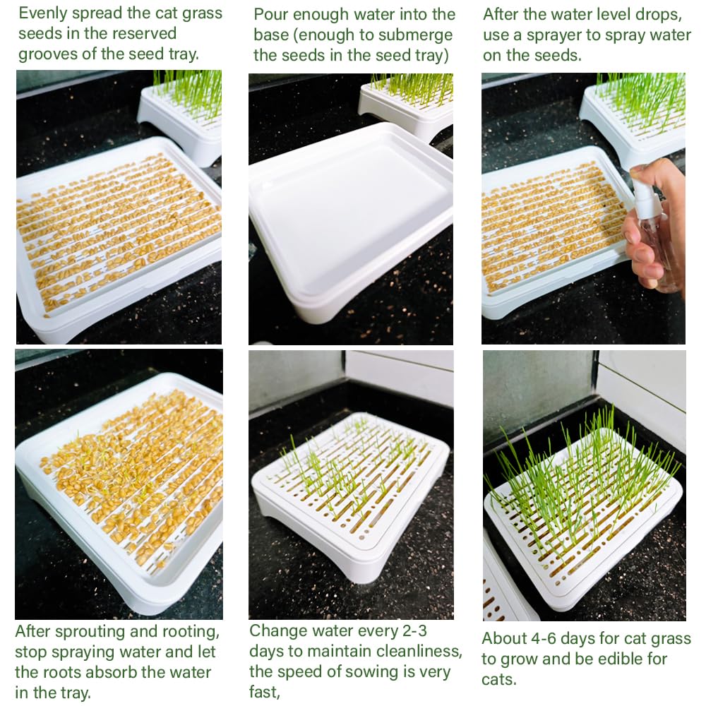 YjiaYjiaY 2-Pack Cat Grass Planter (No Seeds Included), Tri-Section Design, Anti-Pull Out Cat Grass Seed Starter Tray, Sprouts Growing Kit, Microgreens Growing Trays