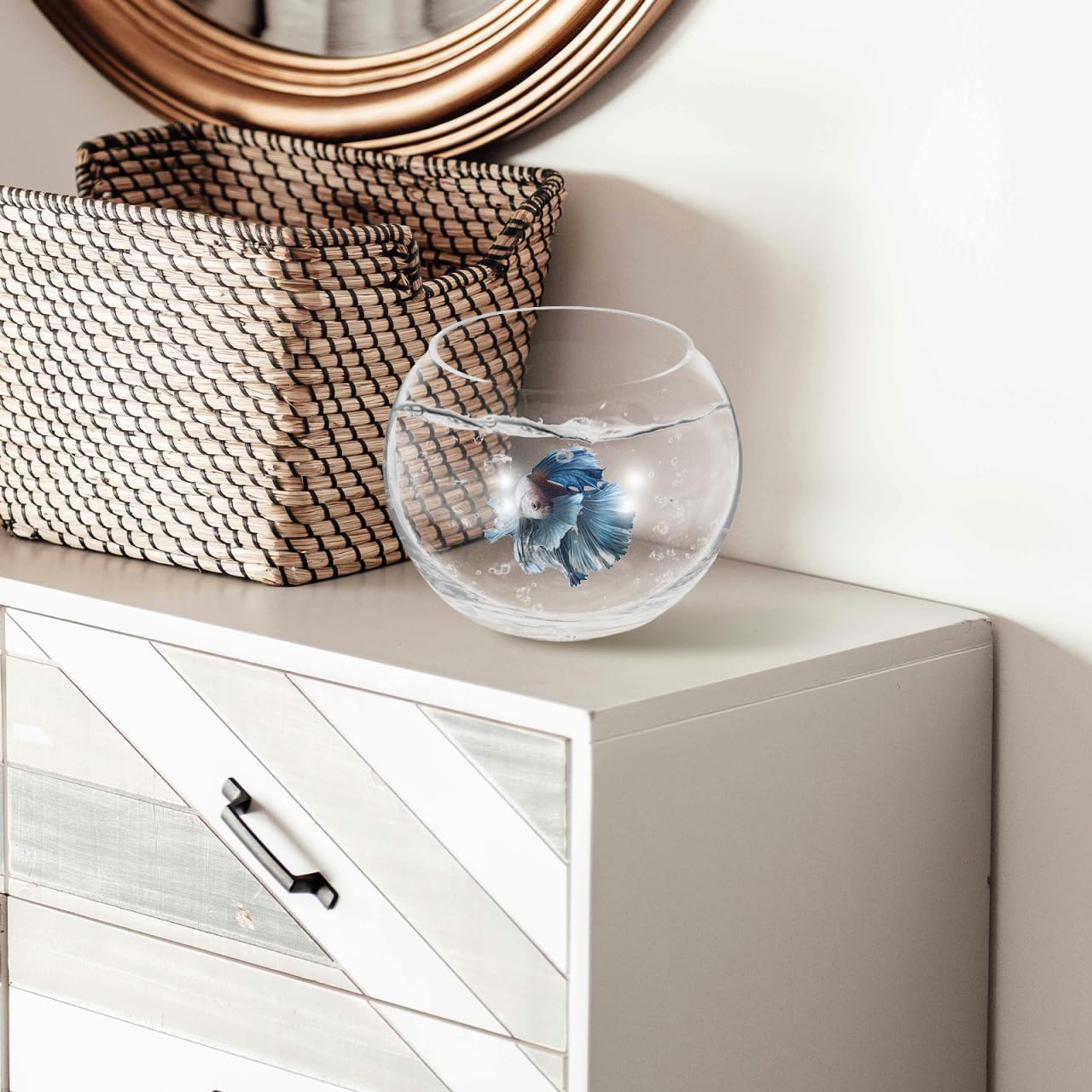 Baluue Round Glass Fish Bowl 5.90 Inch Clear Bubble Vase Terrarium Planter for Hydroponic Plants Flower Display Home Office Decor Compact Design