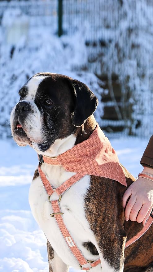 Pettsie Hemp Dog Bandana Collar & Matching Owner Friendship Bracelet | Adjustable, Durable Hemp & Soft Cotton, Matching Friendship Bracelet, Designed for Dog Lovers