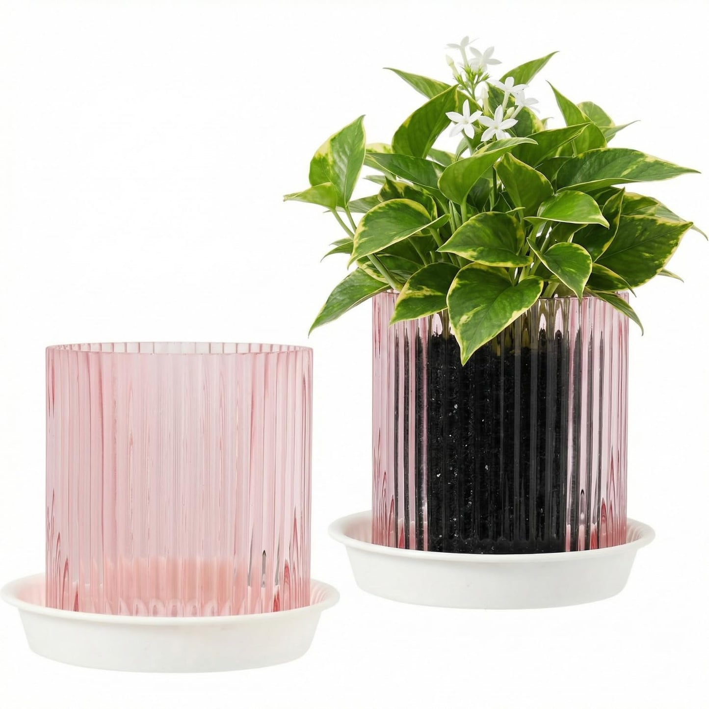 Hestremo Pink Glass Plant Pots Indoor, 5 inch Clear Orchid Pots with Drainage Holes & Trays, Small Glass Planter for Indoor Plants, Herbs, Succulent Flower Planter with Ribbed Texture, Set of 2