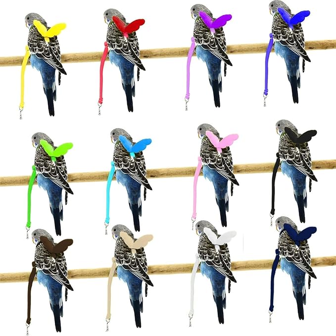 Birds Harness Leash Outdoor Flying Escape-Proof Adjustable Training Design Anti-Bite Bird Rope with Cute Wing for Parrots Scarlet Keck Mini Macaw Love Birds (Green)