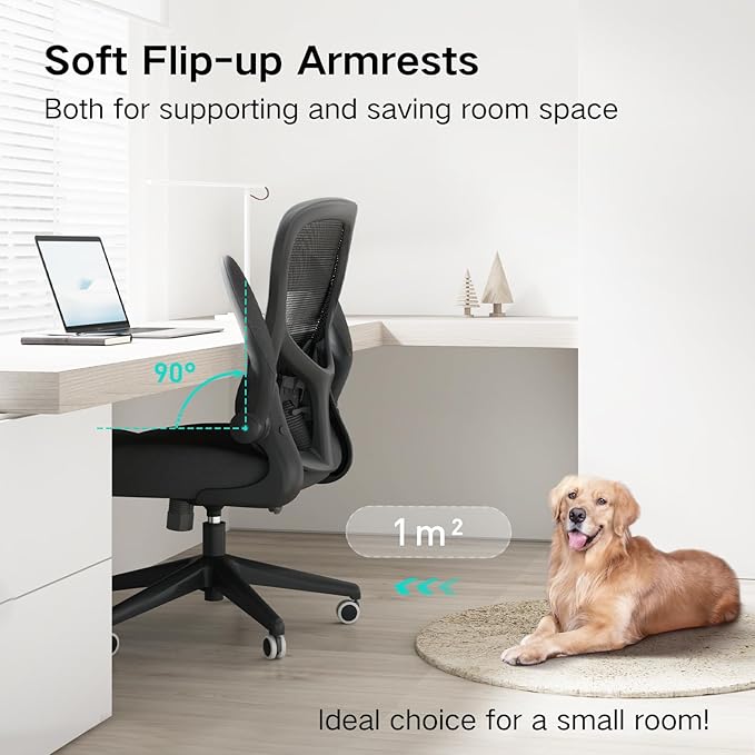 Hbada Office Chair Ergonomic Desk Chair, Office Chairs