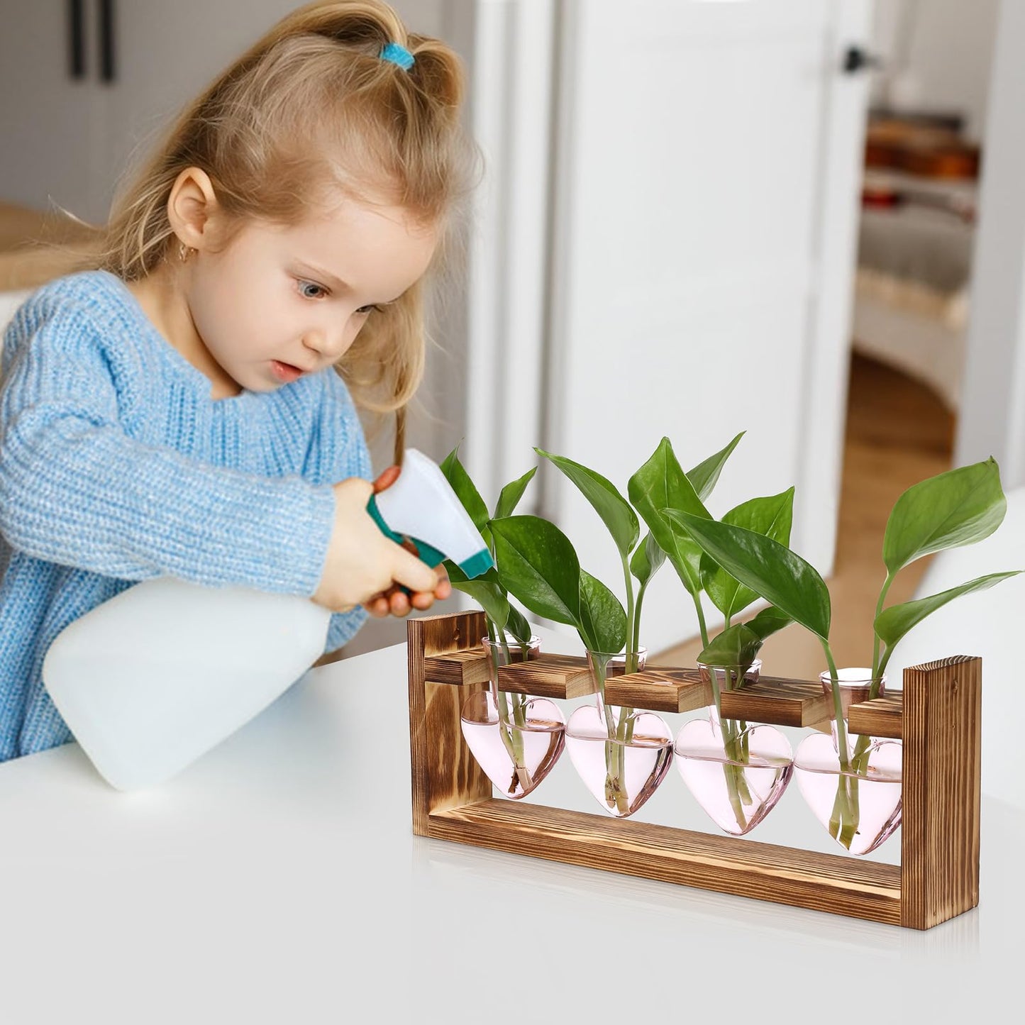 CYZglass Heart Plant Terrarium Kit Gift for Women Plant Lover Glass Vases