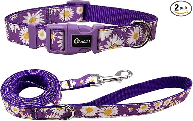 Dog Collar Leash Set, Floral Pattern, Nylon Webbing Plus Cotton Ribbon, 5ft Matching Leash, for Small Dogs.(S, Purple Daisy)