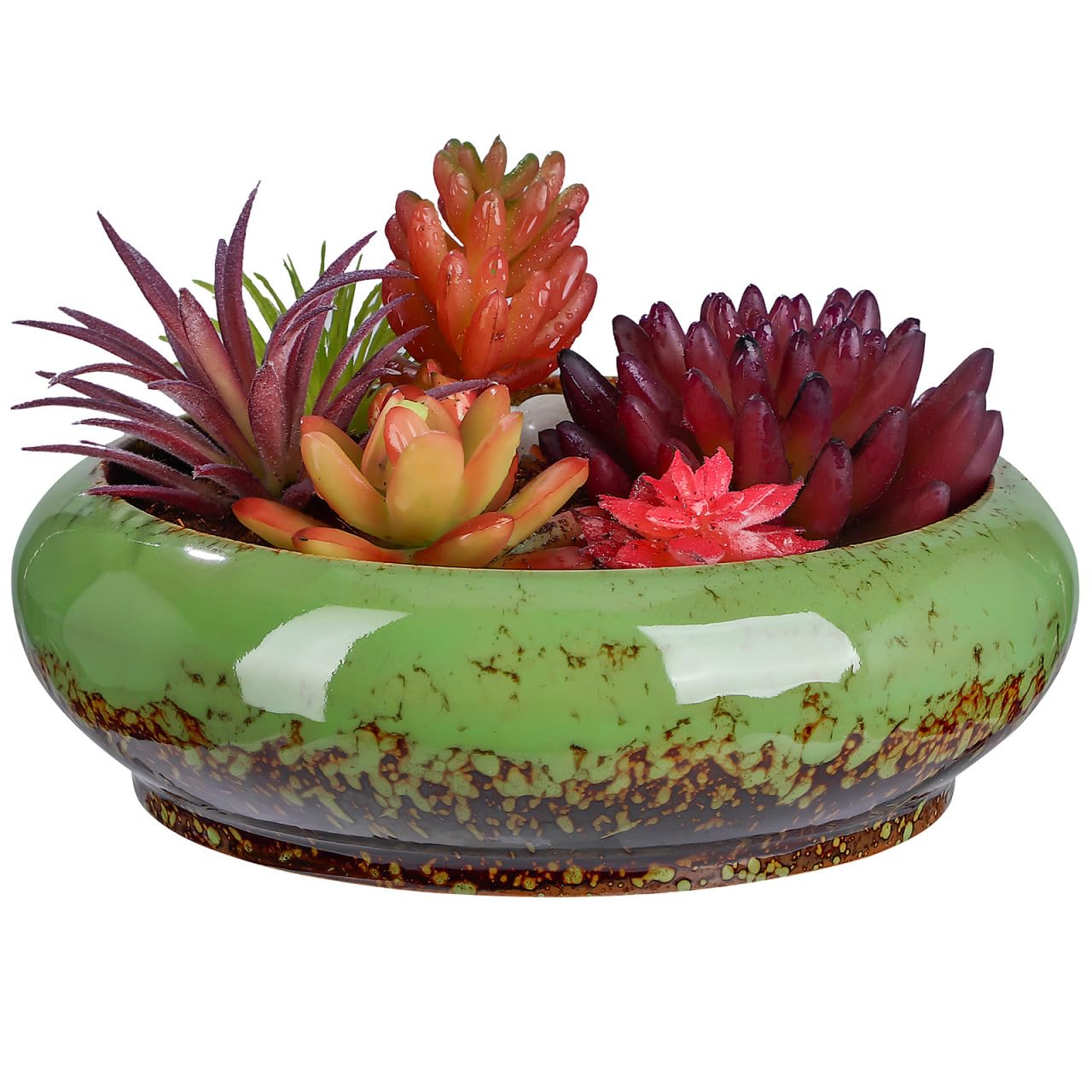 Happyyami Succulent Planter Pot 7.08In Round Shallow Bonsai Bowl with Drainage Hole for Desktop Cactus and Small Plants Decorative Container