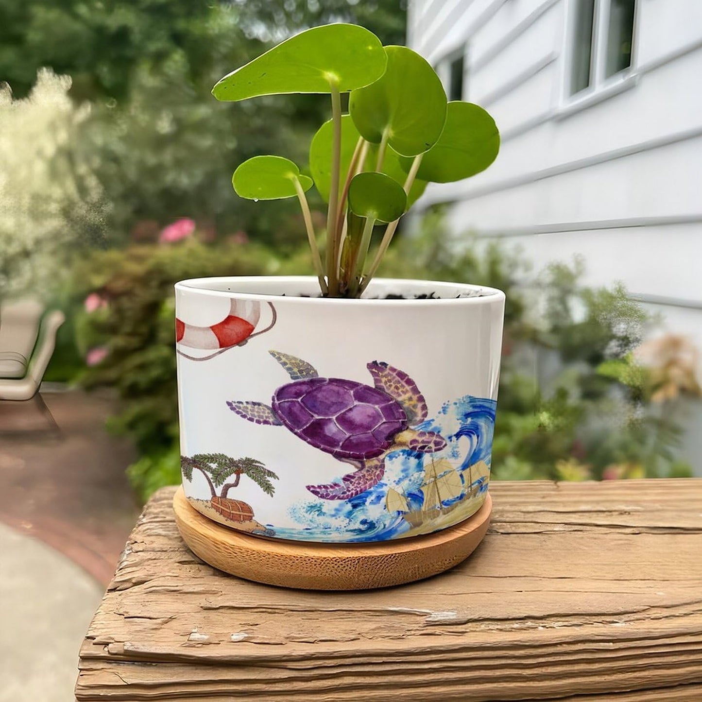 DreamAutumn Ocean Theme Sea Turtle Planter Ceramic Round Plant Pots with Drainage Holes and Bamboo Tray Planting Small Flower Pots for Home Windowsill Desk Garden Indoor Outdoor Use