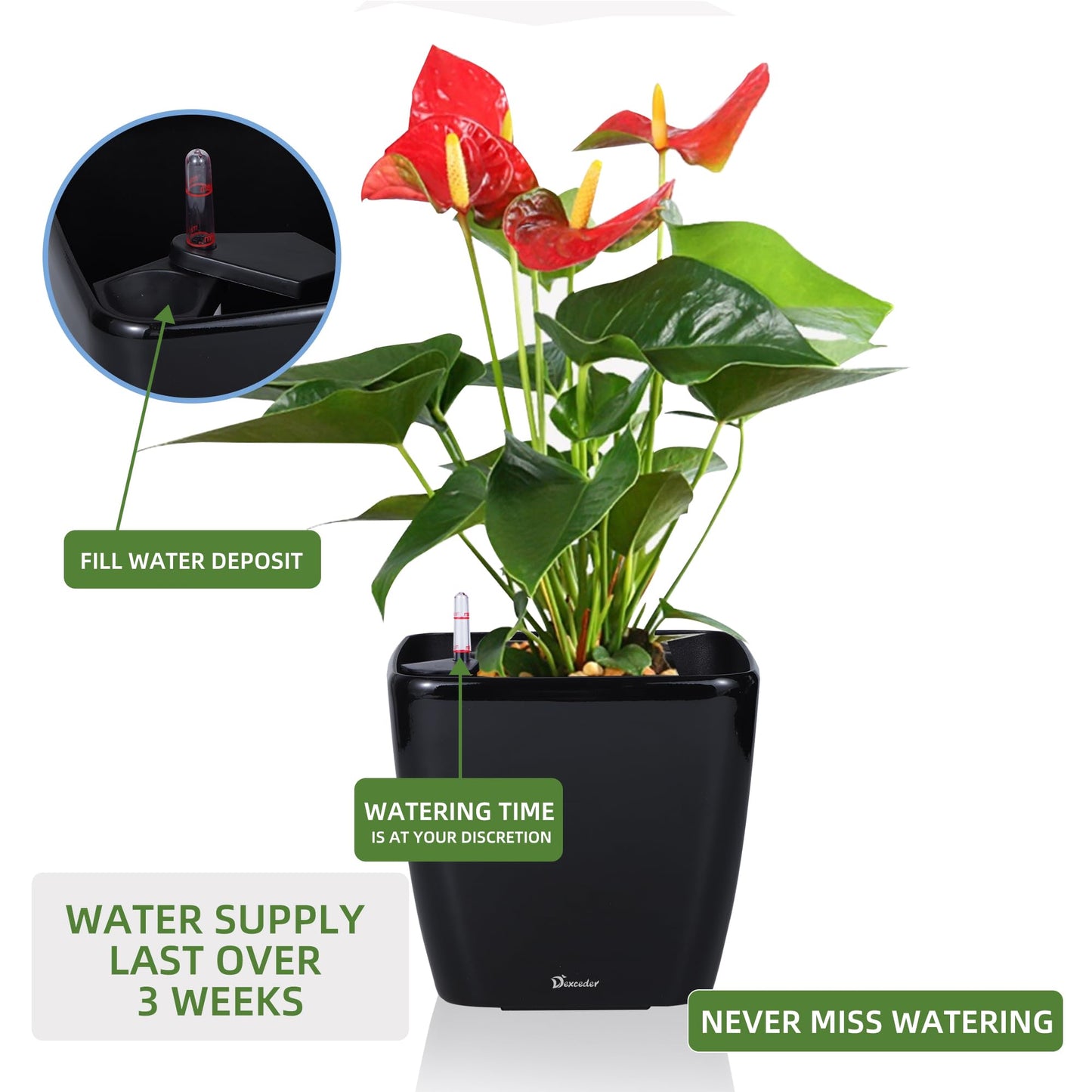 Dexceder 9x8 Self Watering Planter Indoor Outdoor, Inner Mat Design, Thickened Table Flower Plant Pot with Water Level Indicator (Black High Gloss)