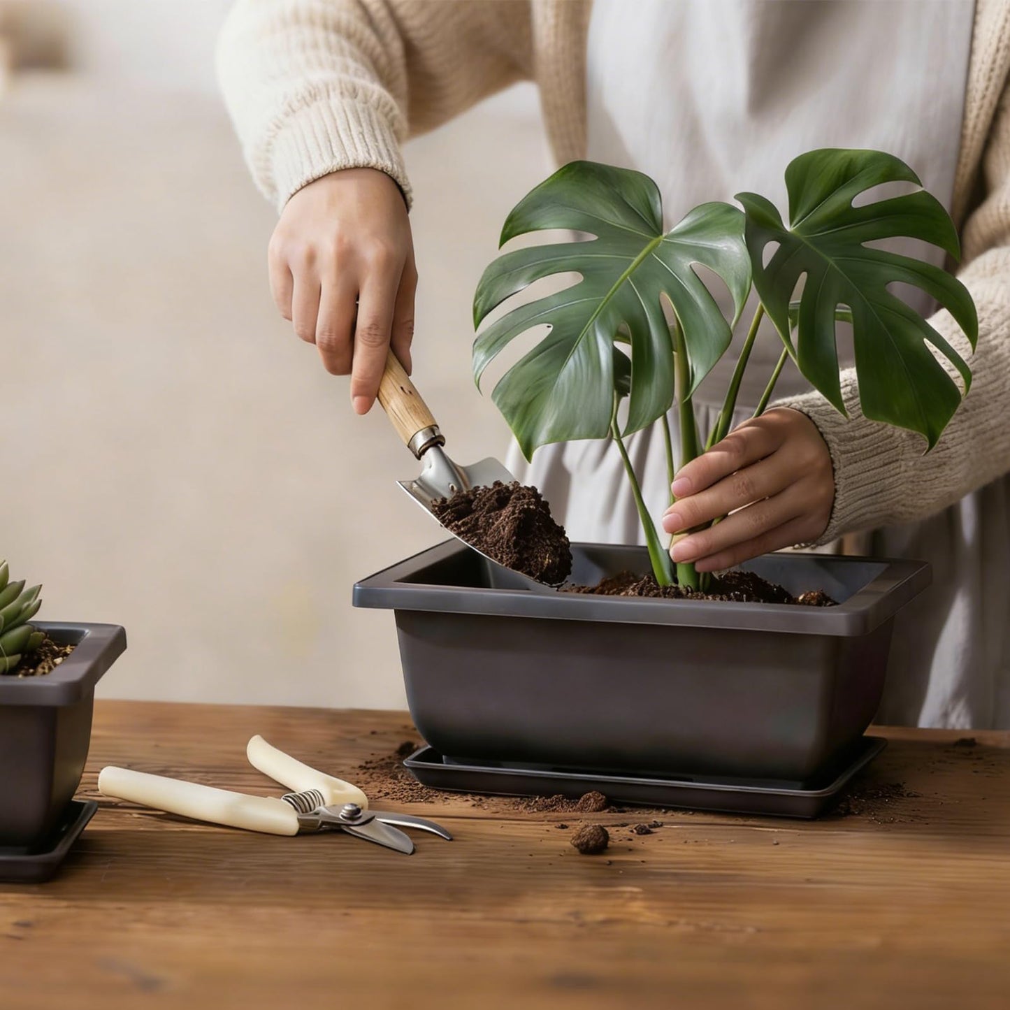 Little pot friend Bonsai Pots, Plastic Bonsai Tree Pots, Bonsai pots with Humidity Tray and Drainage, Suitable for Growing Potted Plants in Both Indoor and Outdoor Gardens (Rectangle, 3pcs-6.5")