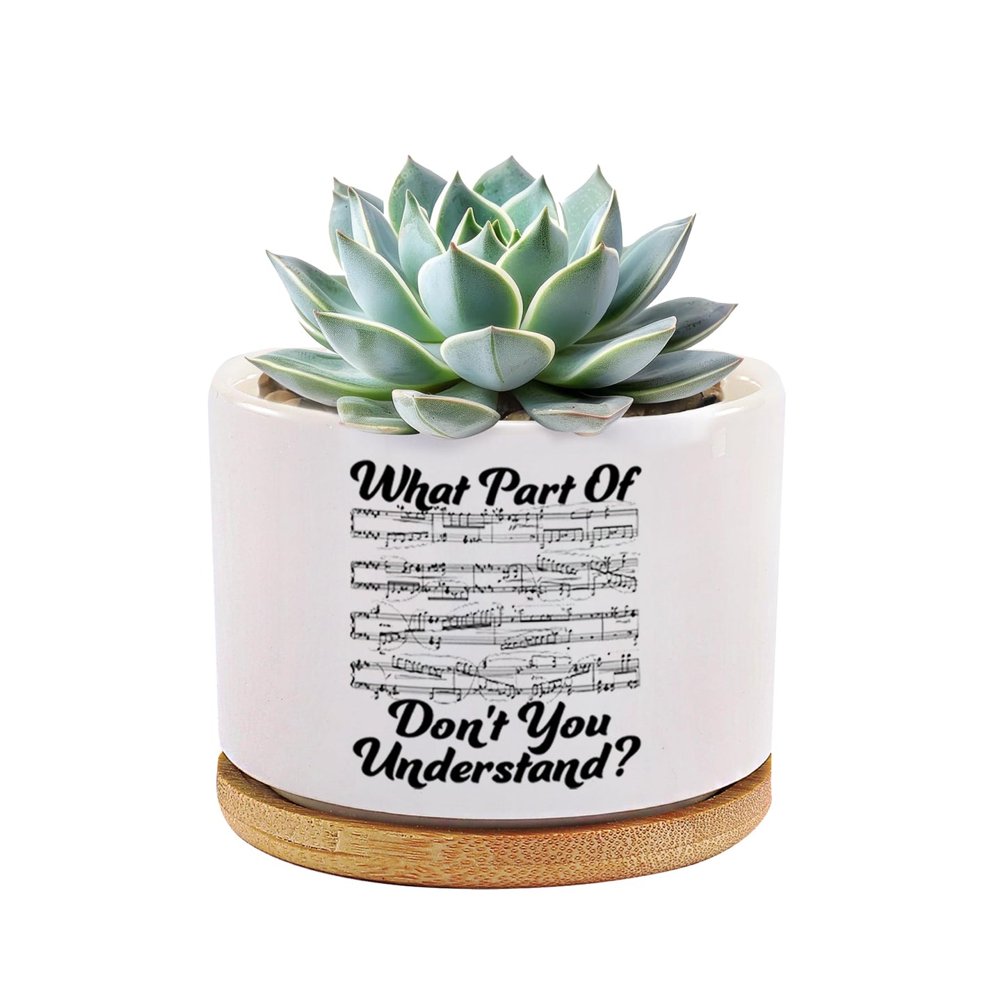 What Part of Don’t You Understand Music Teacher Musicians Gifts Ceramic Succulent Plant Pot with Bamboo Tray Round Pianist Choir Director Sheet Music Home Decor Plant Lover 3.5 Inch White (No Plants)