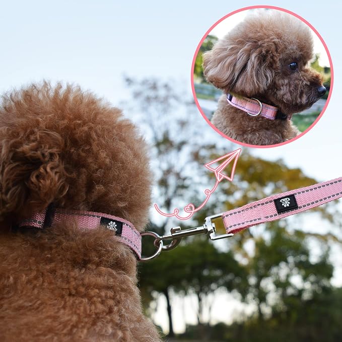 NESTROAD Dog Collar and Leash Set,Reflective Dog Collars with Quick Release Buckle,Adjustable Nylon Pet Collar for Small Medium Large Dogs(Medium,Pink)