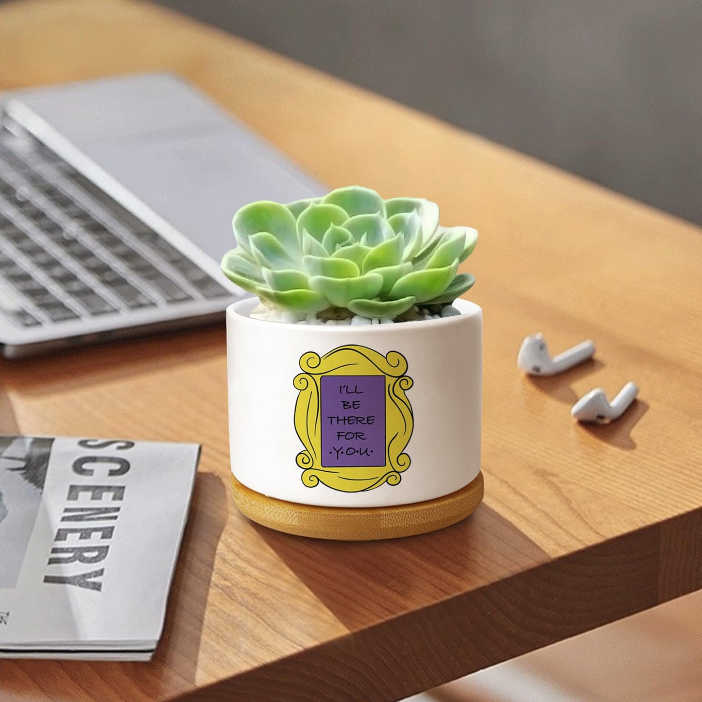 Ywkuiev Succulent Planter, Flower Cactus Plant Pot, Friends Merchandise, Funny Friendship Decor Themed Gifts for Men Women Friends Sister Bestie Housewarming Gift (Plants Not Included)
