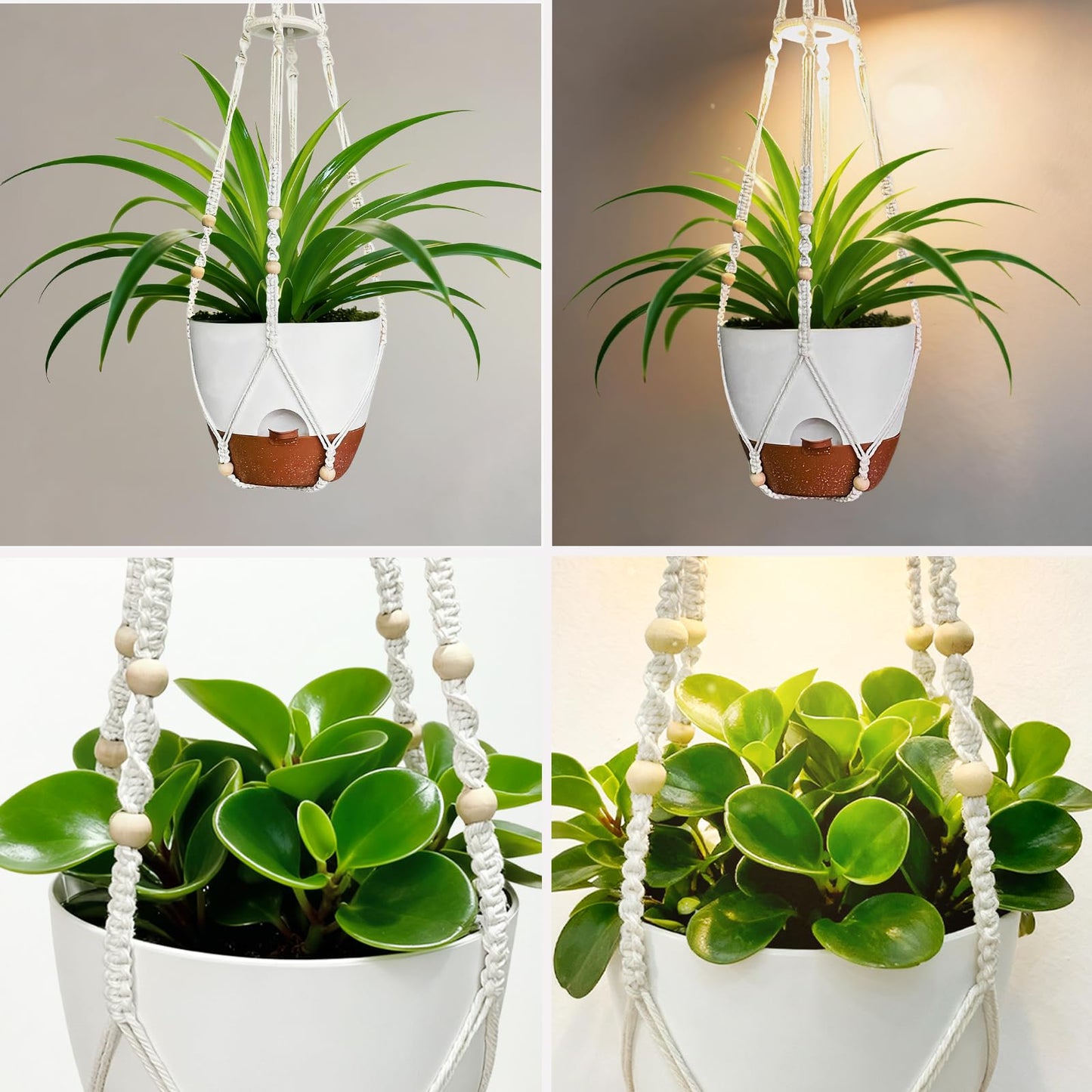 MSFON 2 Pack Hanging Planters with Grow Light for Indoor Plants, 10” Self Watering Pots for Apartments & Low-Light Rooms, Macrame Hangers, Timer, Drainage Holes & Removable Tray