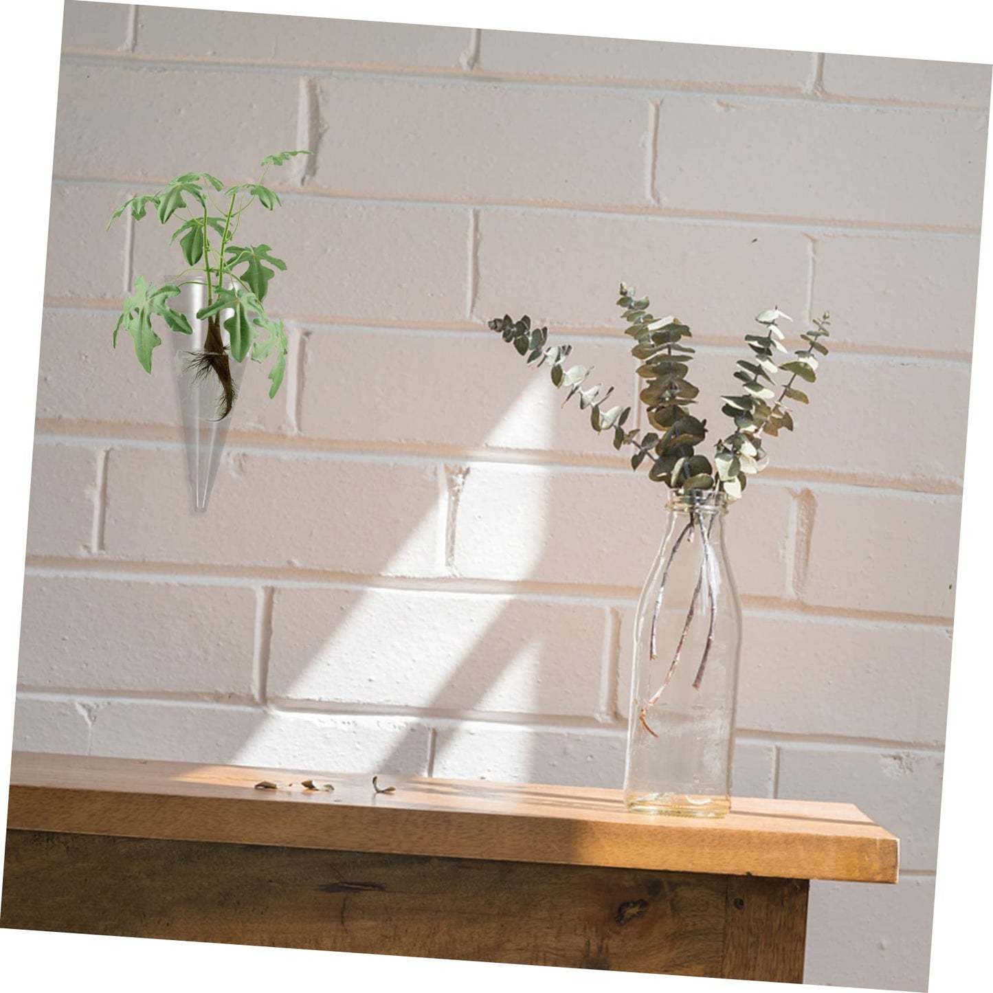 TOGEVAL Hydroponic Wall Hanging Glass Planter for Indoor Plants Space-Saving Terrarium Vase for Home Decor Modern Design Visible Root Growth for Flower Cuttings and Greenery