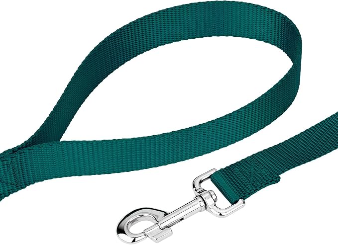 Country Brook Petz - Everyday Nylon Dog Collar and Leash - 10+ Cool Colors (3/8 Inch, 2XS, Teal)