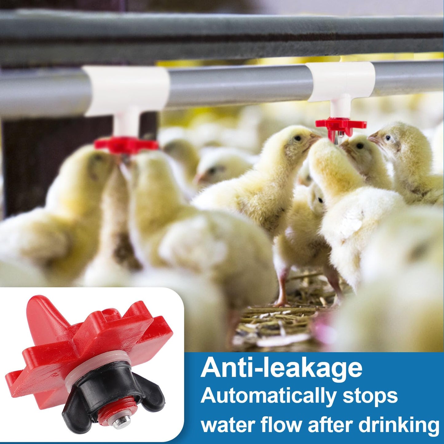 20 Pack Chicken Waterer Nipples - Easy Install Leakproof Poultry Watering System for Chicken Coop, Quail Duck Water Feeder Nipples with Drill Bits