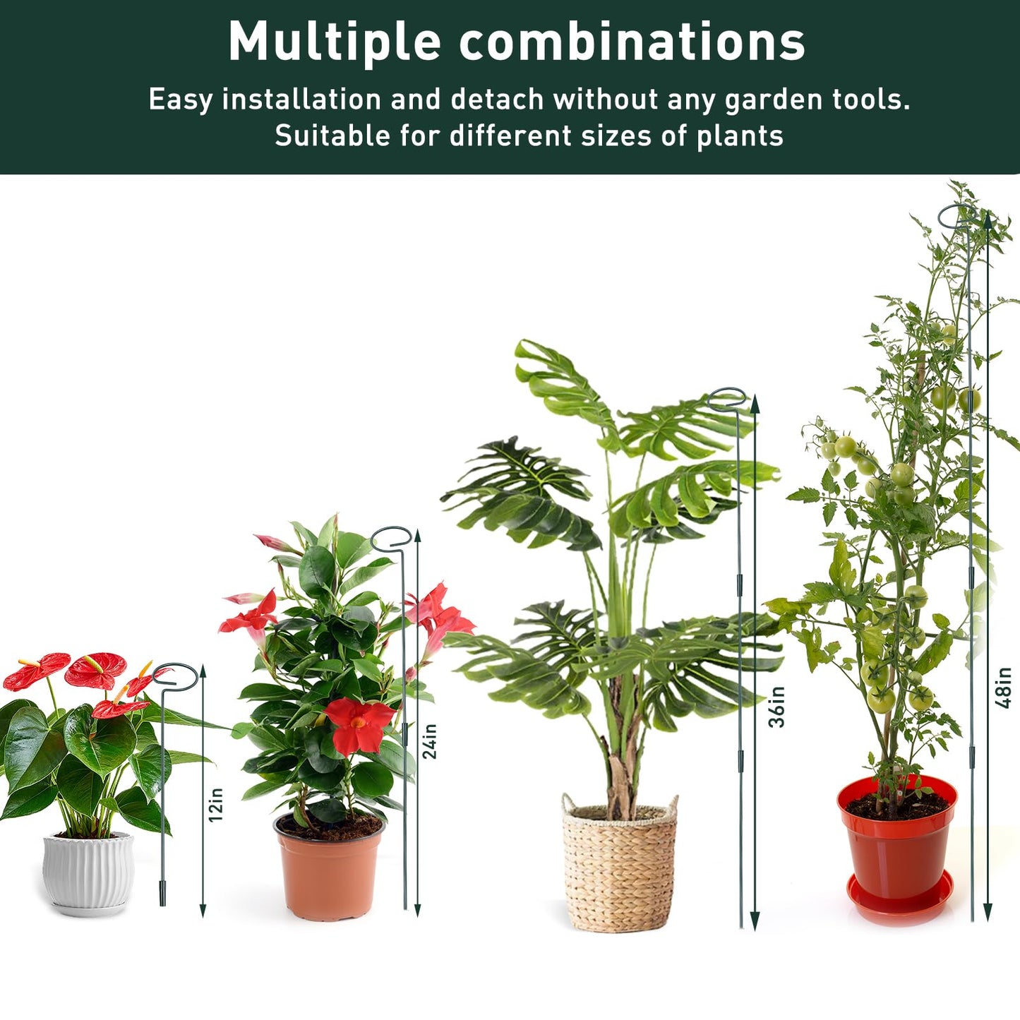 4 Set Metal Plant Sticks Support Tall 48 Inch Adjustable Plants Stem Support Rod Amaryllis Holder Stake Garden Flower Rings with 20PCS Clips 16.5' Plant Ties for Outdoor Indoor Plants