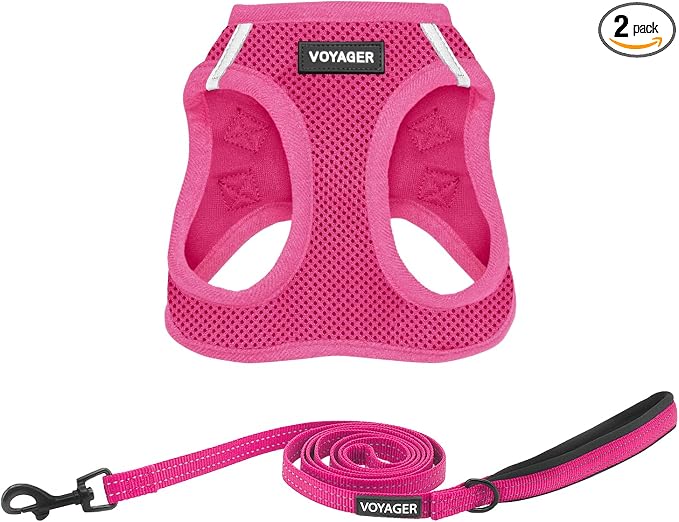 Best Pet Supplies Voyager Step-in Air All Weather Mesh Harness and Reflective Dog 5ft Leash Combo with Neoprene Handle, for Small, Medium and Large Breed Puppies - Fuchsia, X-Large