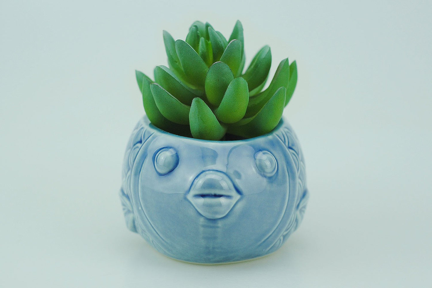 VanEnjoy 5" Ceramic Succulent Pot - Cute Ocean Blue Seashell Series, Conch Shaped Cactus Planter, Flower Pottery Bonsai (Seashell M)