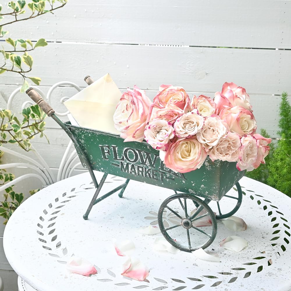 Z² BellaDecor 15 Inch Farmhouse Small Flower Cart with Wooden Handles Metal Wagon Planters for Outdoor Plants Decorative Wheelbarrow Plant Cart for Patio Garden Balcony Green