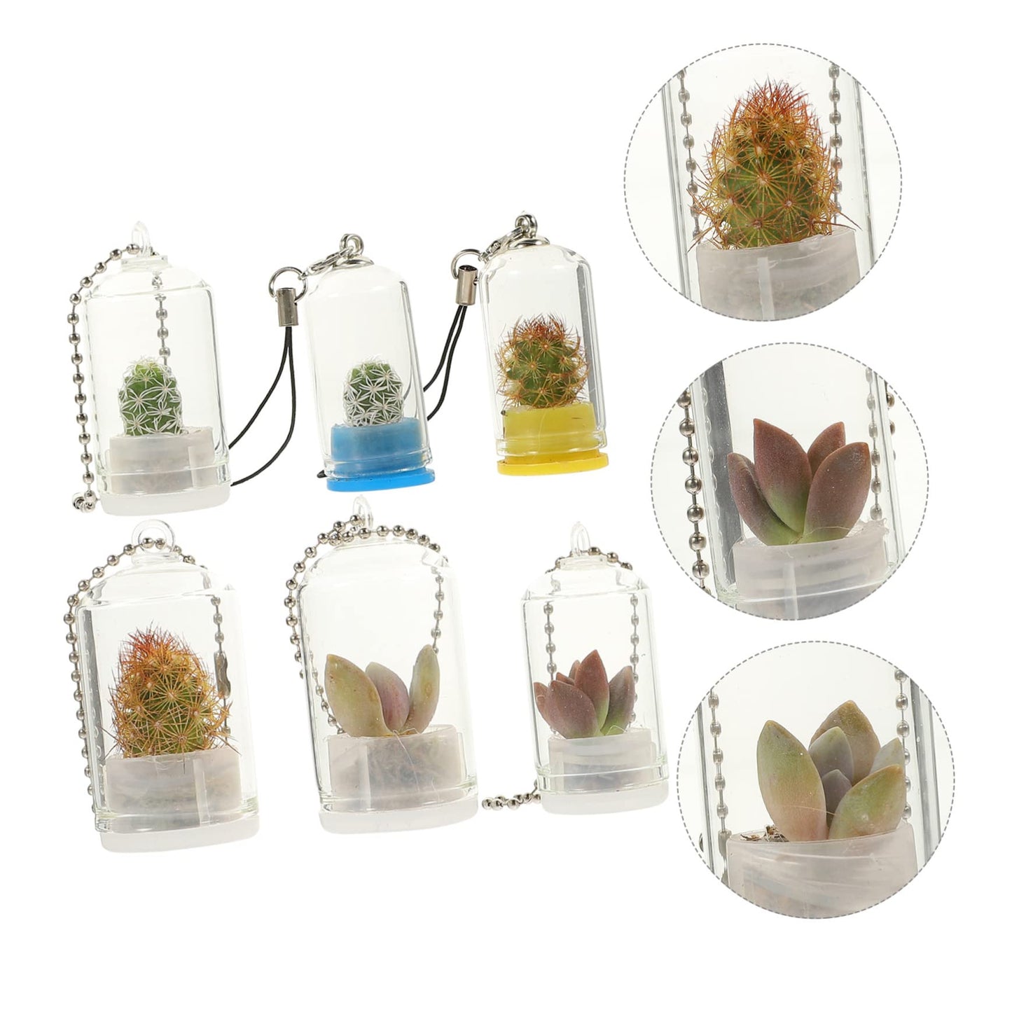 POPETPOP 6pcs Glass Terrarium Keychain for Air Plant Hydroponic Decor Keychain Accessory