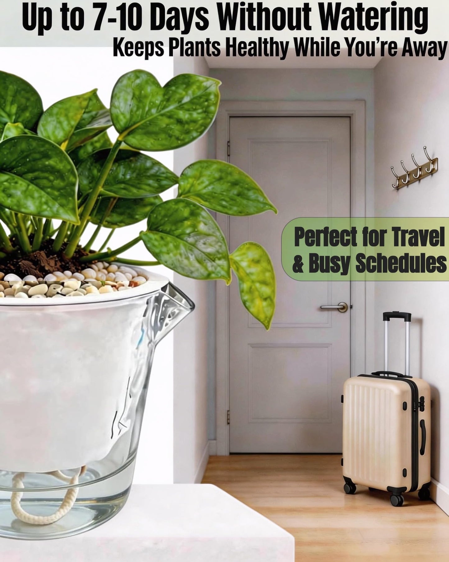 BovcTrraann 3-Pack Clear Self Watering Plant Pots, 5 Inch Clear Flower Pots with Drainage Holes, Tray and Rope, Plastic Self Watering Planters for Indoor Outdoor Garden Plants, African Violet, Herbs