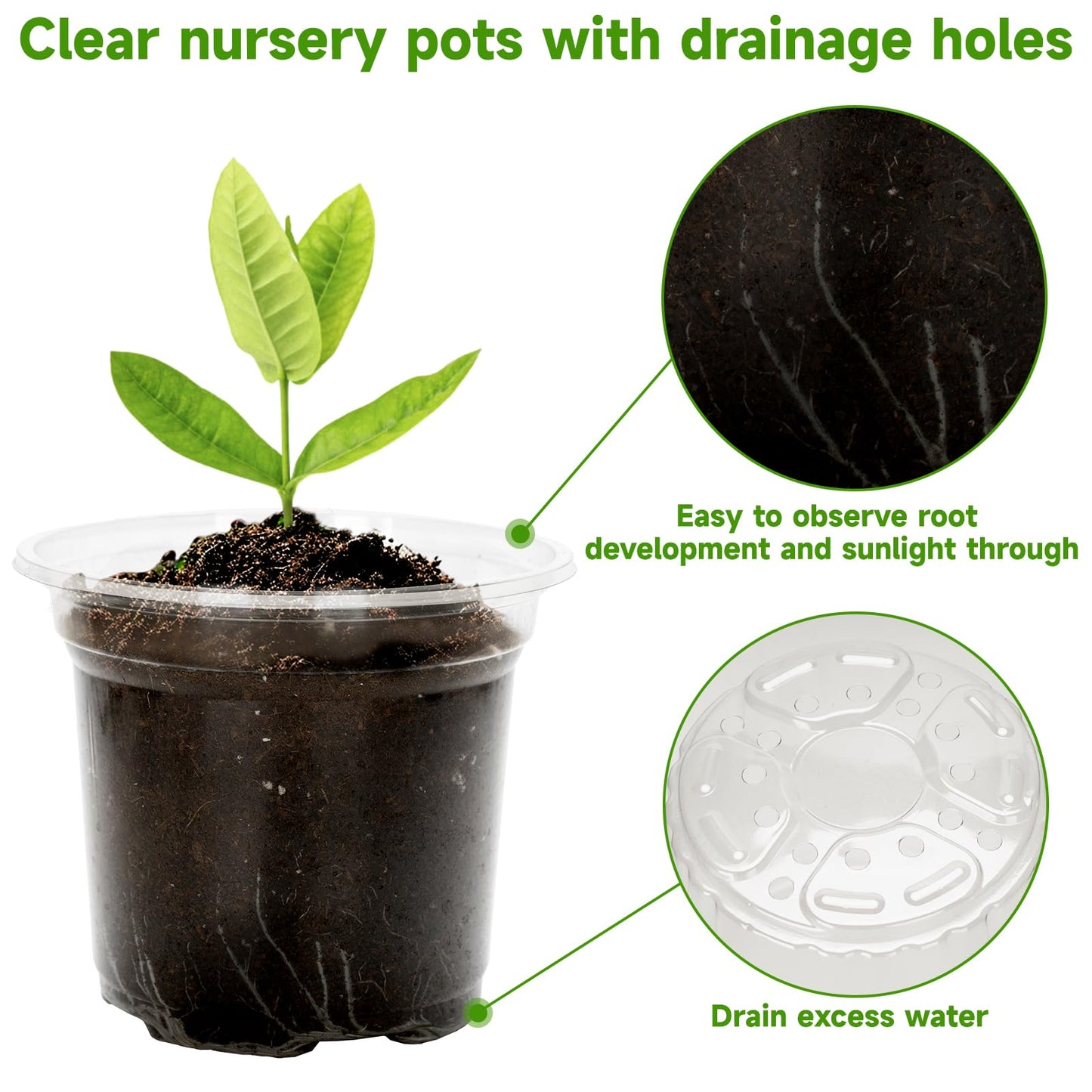 KINGLAKE 4 Inch Clear Plant Nursery Pots with Drainage Hole,36 Pcs Plastic Clear Nursery Pots for Plants,Transparent Planter Nursery Pots for Potting Seed Cutting Succulent Indoor Outdoor Plants