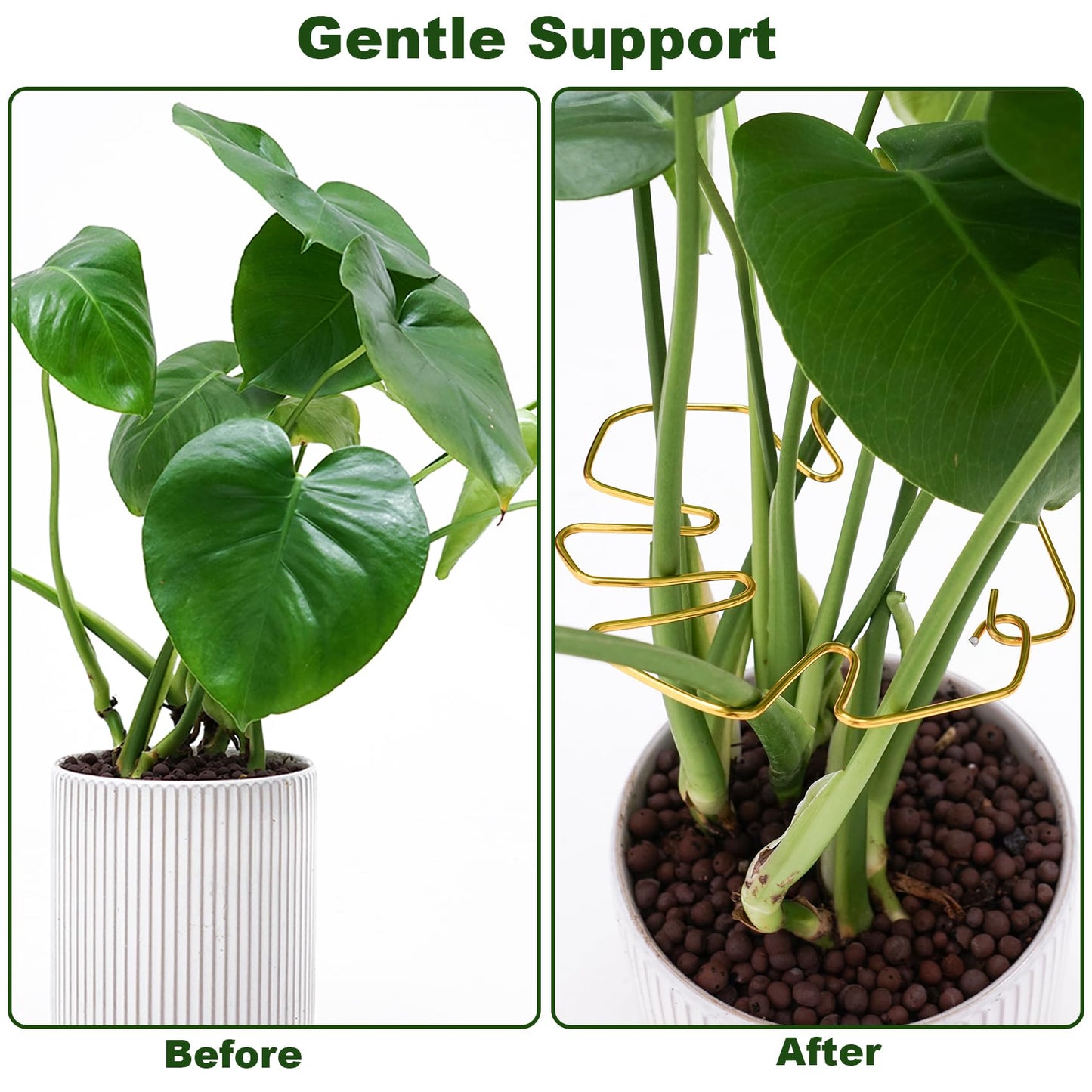 6PCS Monstera Plant Stem Support , Monstera Stabilizer Grapple Holder Unique Design for Turtle Shell Bamboo Clamp Set, Ideal Plant Support Stakes for Thriving Growth Indoor Climbing Plant (Gold)