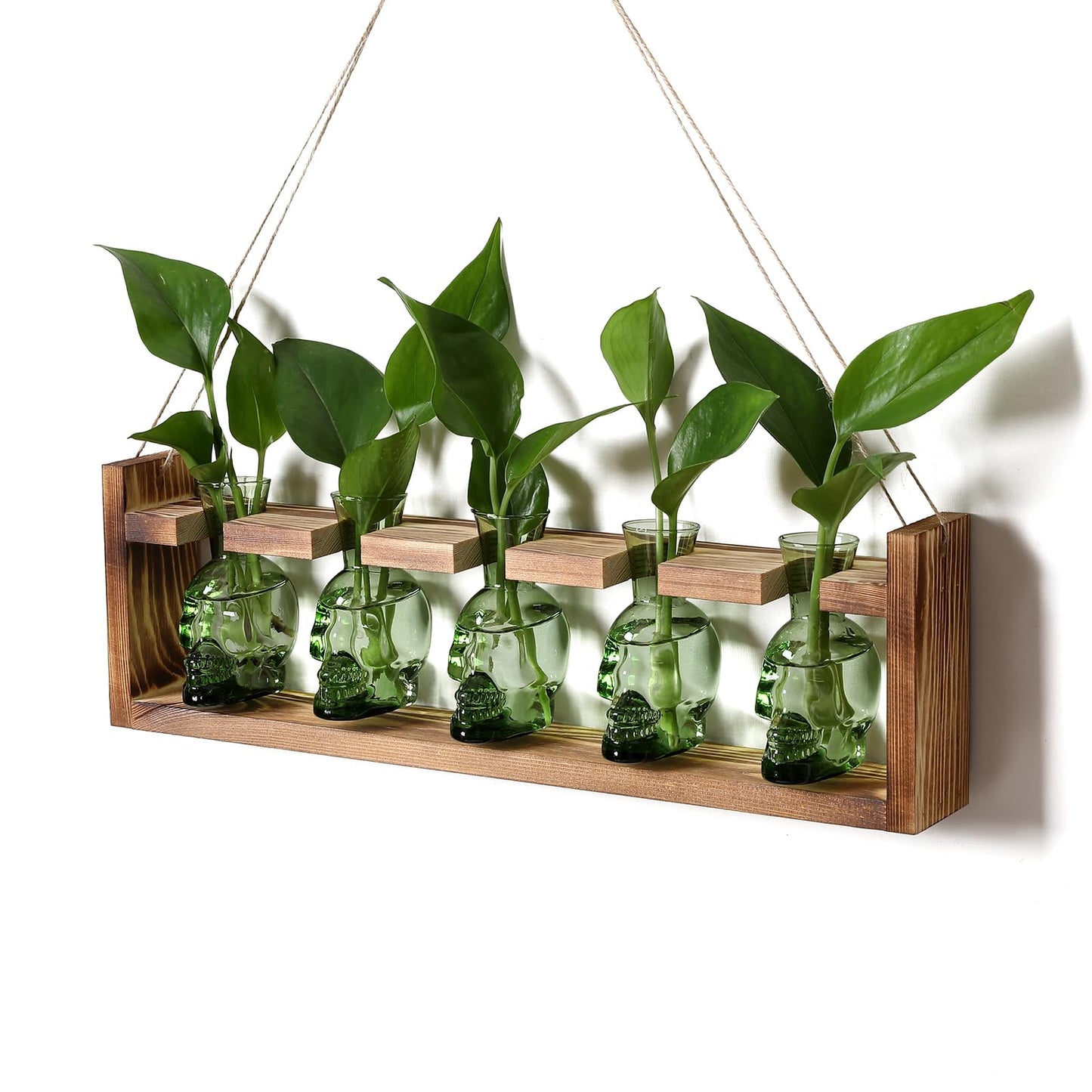 Plant Terrarium Propagation Stations Halloween Skull Planter Vase Skulls Decor with Wooden Stand Gife for Father - 5 Vases
