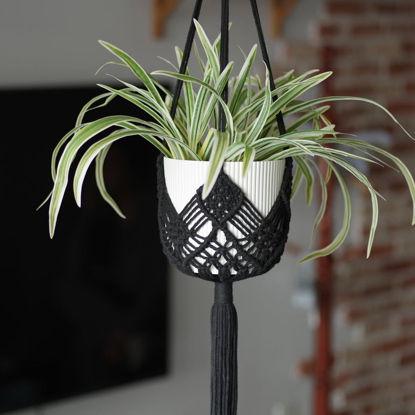 XINBOR Hanging Planter with Patterns,2Packs Macrame Plant Hangers Indoor Macrame for up to 8 inch Pot Crochet Boho Plant Hanger Holder for Indoor Outdoor with 2S Shaped Stainless Steel Hooks (Black)