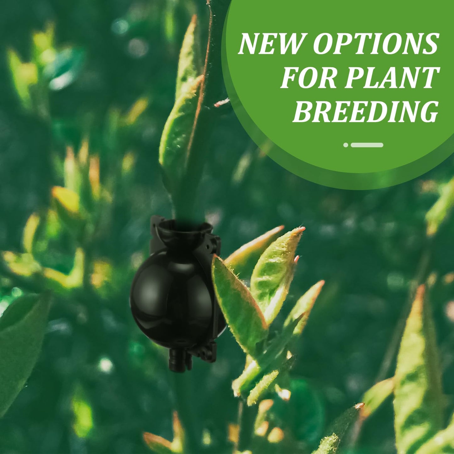 Tanlade 160 Pcs Plant Root Growing Box Small Air Layering Pods Propagation Balls Reusable Plant Rooting Device Black High Pressure Rooting Ball Grafting Tools for Tree Rooter Cuttings Seedlings