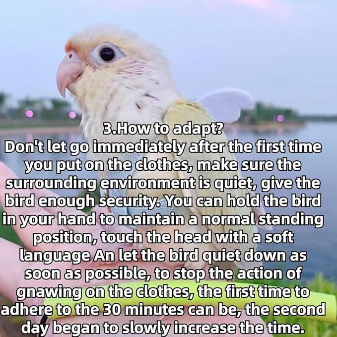 Pet Parrot Bird Harness and Leash, Adjustable Training Design Anti-Bite, Bird Nylon Rope with Cute Wing for Lovebird Budgie African Grey Macaw Conure (Light Blue,Sulphur-Crested Cockatoo)