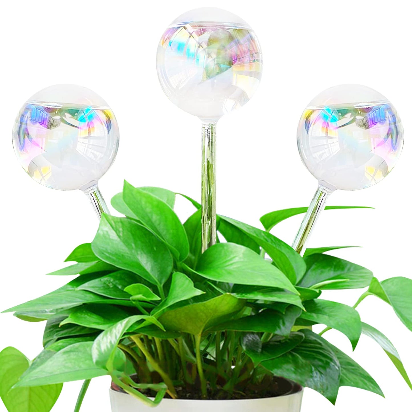 Pynqdfu 3 Pcs Plant Watering Globes,Self Watering Planter Insert Plant Accessories,Colorful Glass Plant Watering Devices for Indoor Plants