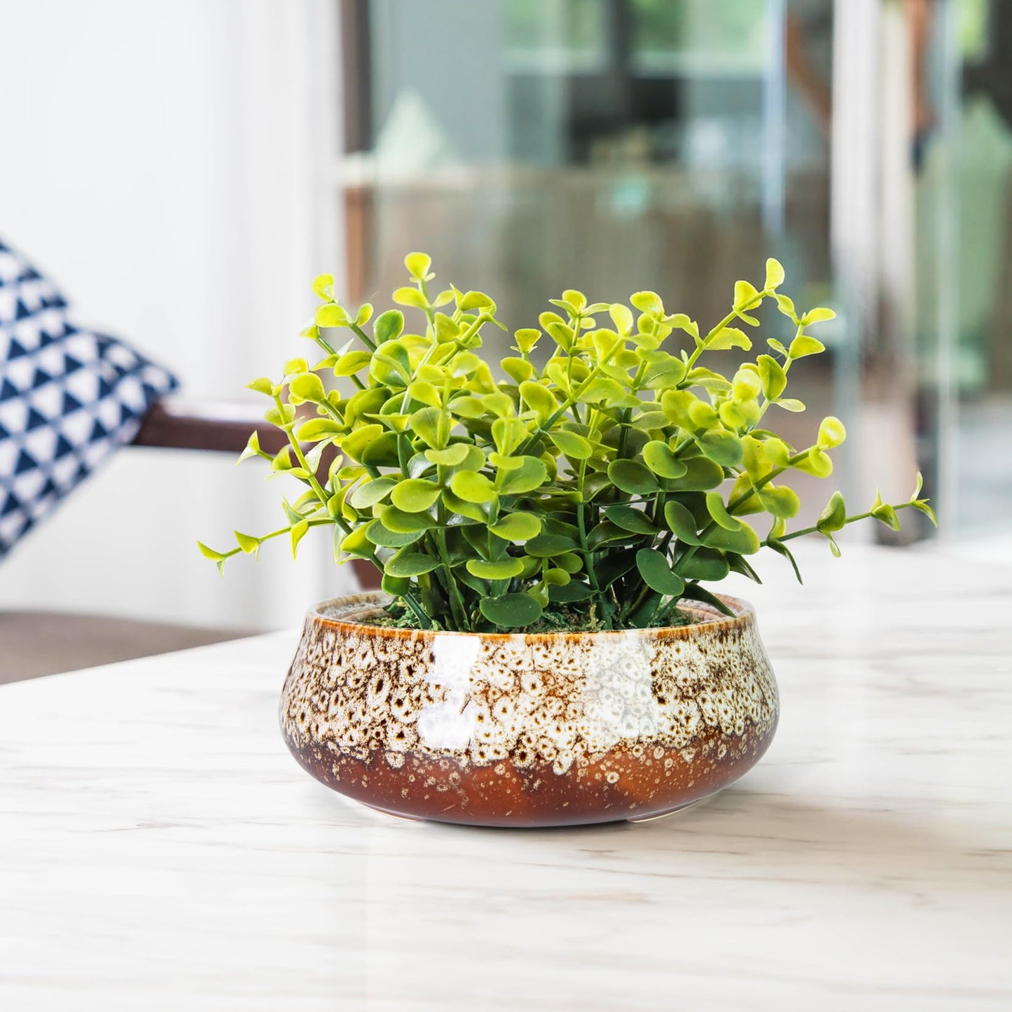 ARTKETTY Succulent Pots - 8 Inch Plant Pot, Large Bonsai Pots with Drainage, Ceramic Planters for Indoor Outdoor Plants, Round Shallow Cactus Flower Plant Container Bowl Decorative Home Garden