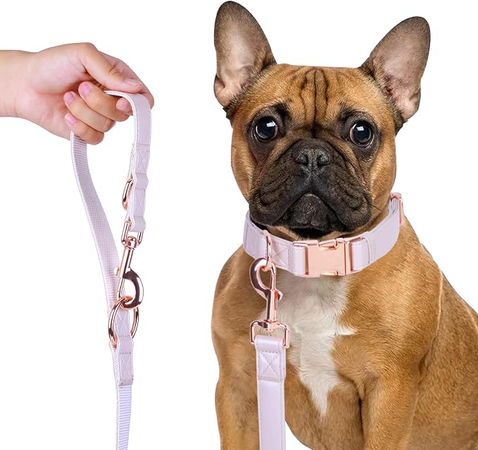 Soft Leather Dog Collar and Leash (6.6') Set - Stylish Rose Gold Heavy Duty Metal Buckle, 4 Adjustable Lengths Leash for Small Medium Large Dogs - Comfortable & Easy to Clean M(13.8"-19.7"), Gold Pink