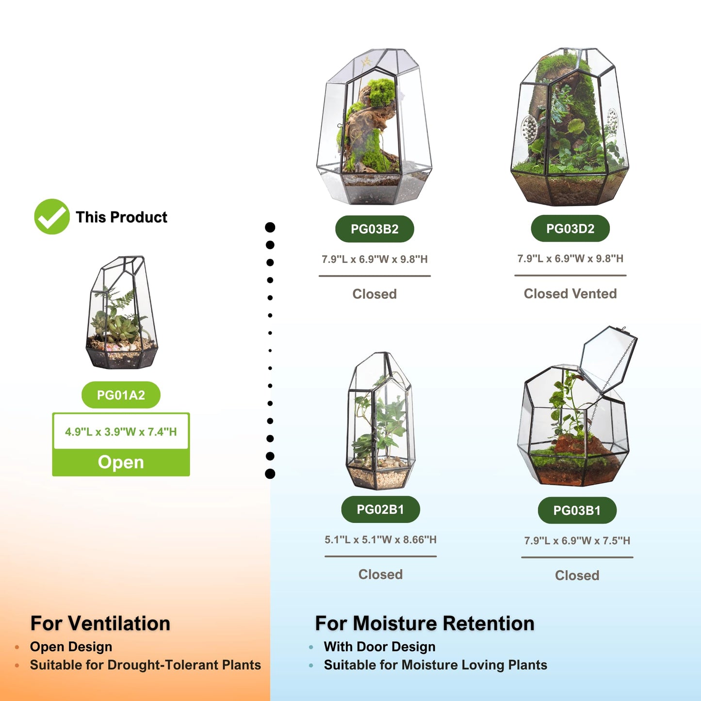NCYP Small No Door Glass Geometric Terrarium - 4.9 x 3.9 x 7.4 Inches Irregular Clear Terrarium Pot for Mini Succulents, Small Cactus, Indoor Garden Tabletop Decoration (No Plants)