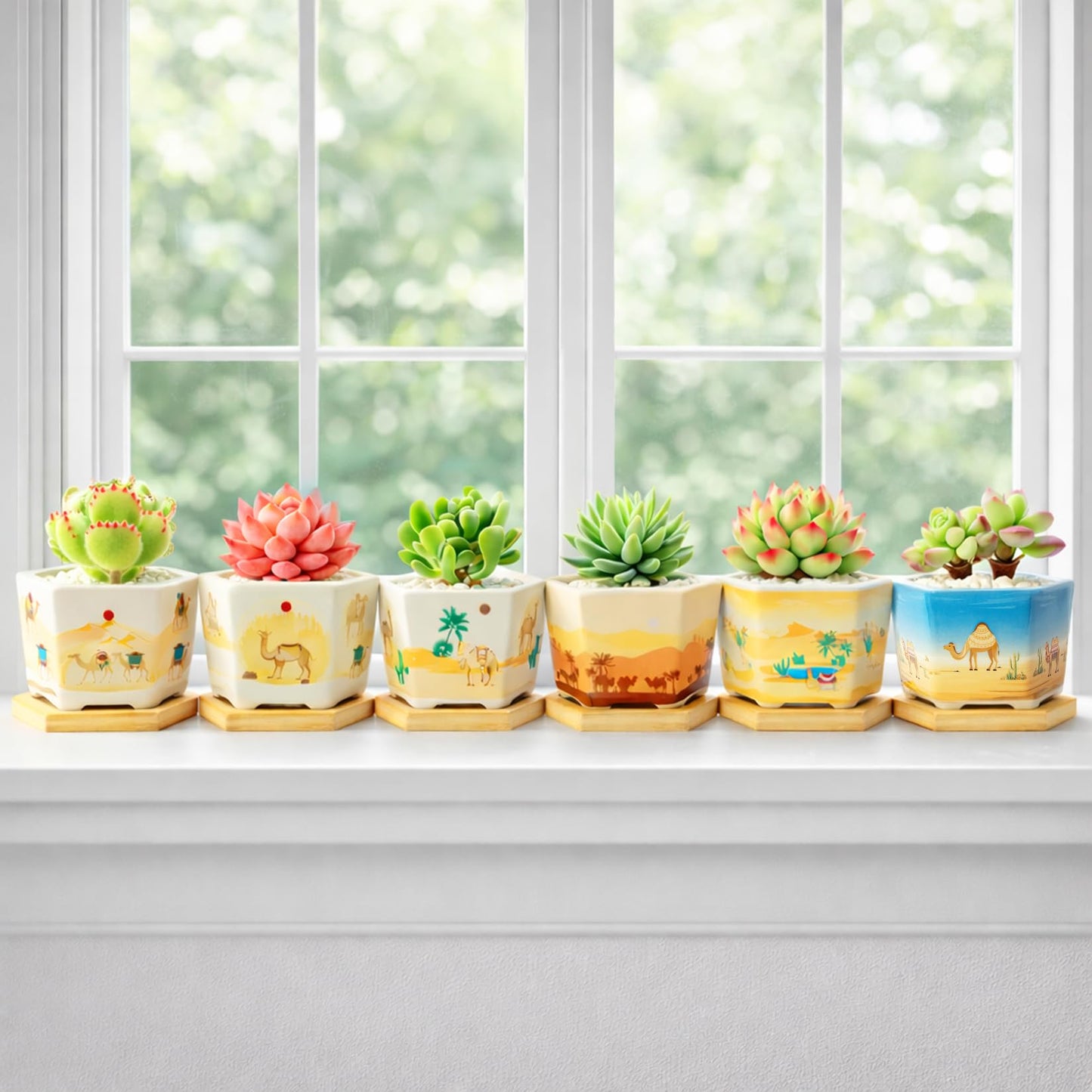 Succulent Pots, 6 Pack Floral Plant Pots with Drainage Tray, 3.7" Small Flower Pots for Indoor Plants, Ceramic Succulent Planters for Cactus, Home Office Decor