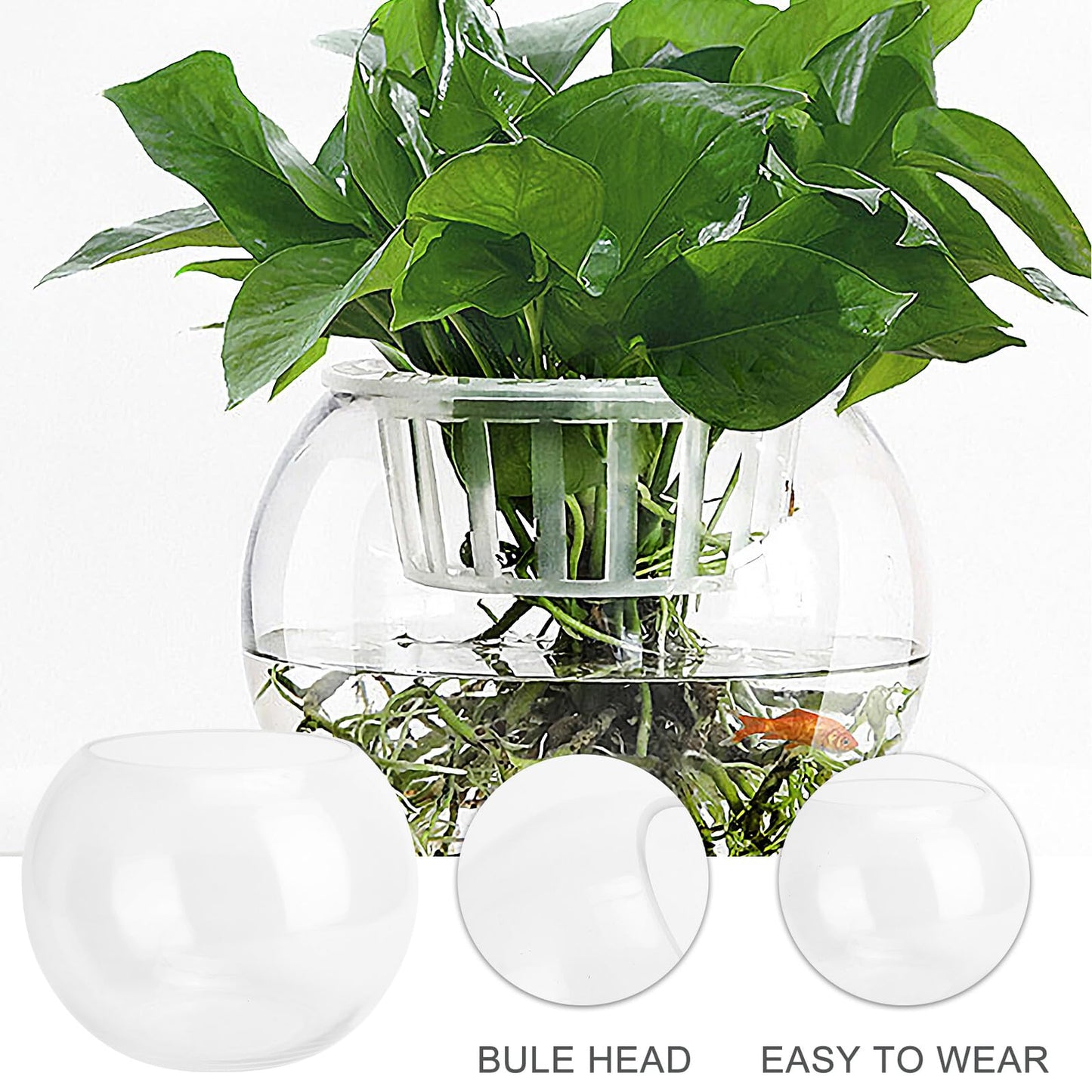 JOINPAYA Glass Hydroponics Vase 20cm Round Bulb Plant Holder Decorative Fish Tank for Desktop Home Office Succulent Terrarium