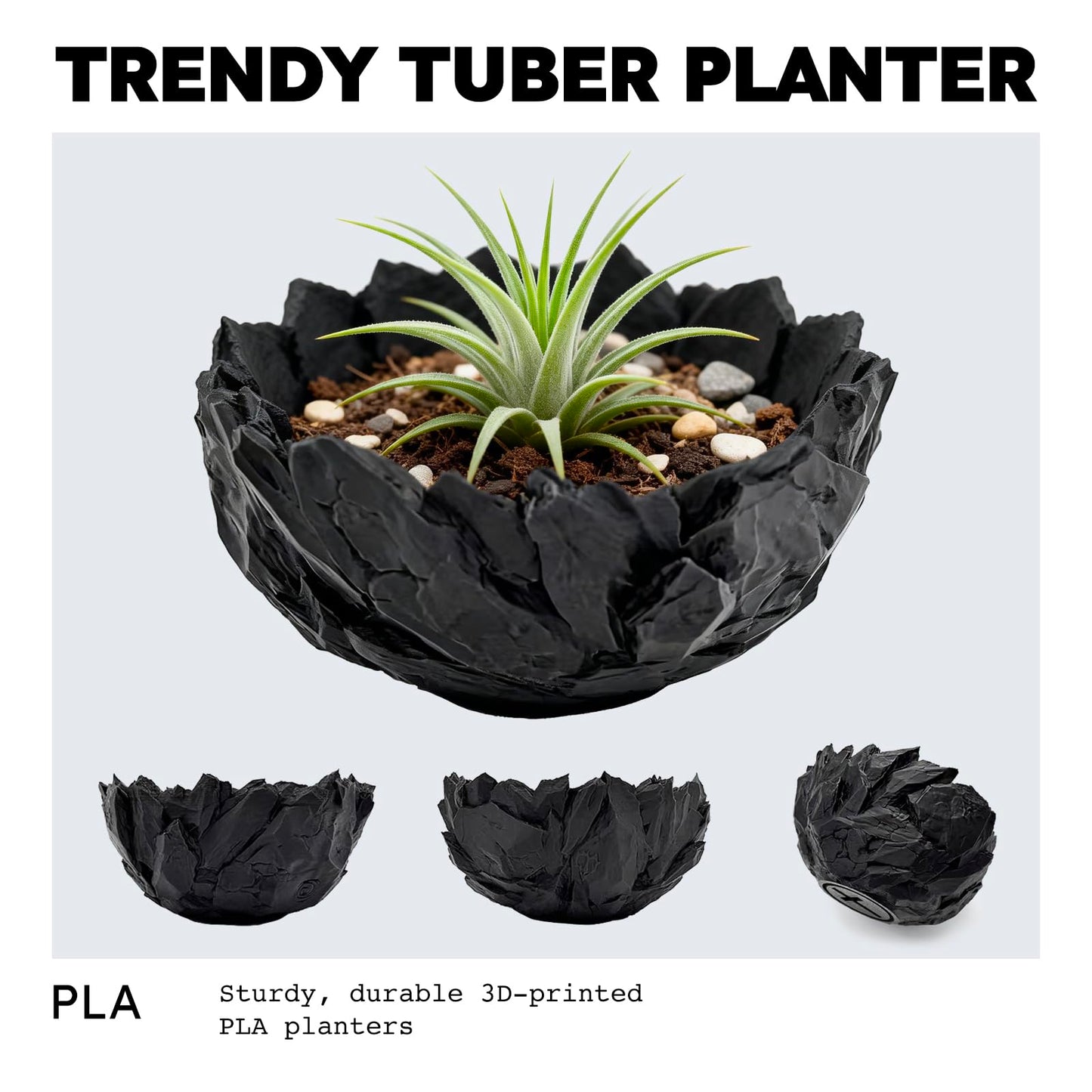 Dak Haan Succulent Pot with Drainage – Indoor Plant Pots, Artistic Design Flower Pots,Personalized Custom Mothers Day Plant Pot, Shallow Succulents Pots Bowls for Home, Office, Weddings & Party Décor
