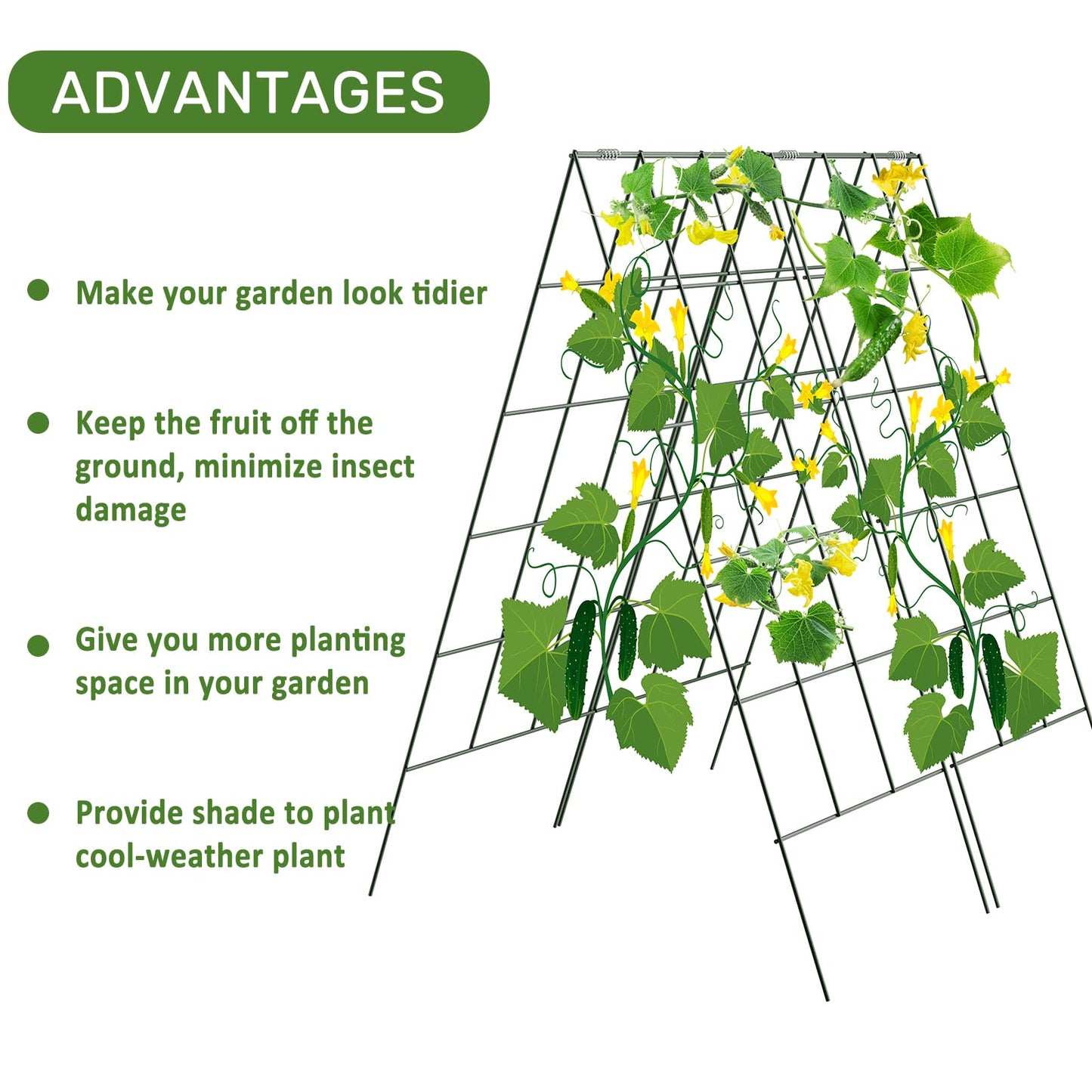AGTEK 2 Packs 18" x 46" Foldable Cucumber Trellis with Zip Ties Plant Support A Frame Metal Trellis for Cucumber, Climbing Plants, Vegetable Flowers