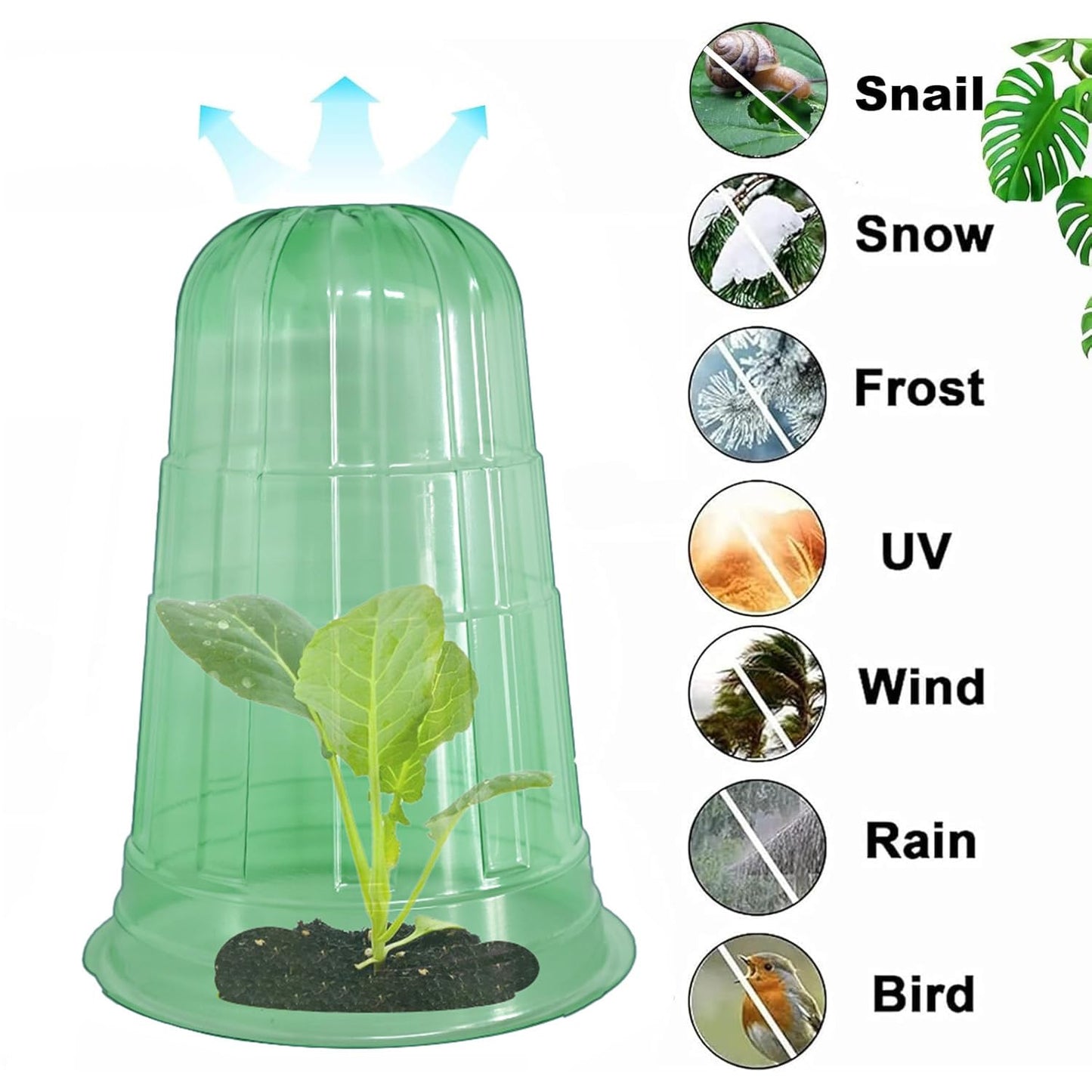 Fshow Upgraded Garden Cloches for Plants, Reusable Bell Plant Protector, Garden Protection from Animals Snails Birds Chickens Insect， Compatible with Slug Collar(Green 20 Pack)